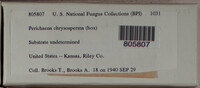 Image Associated With the Occurence